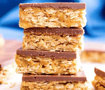 Protein Fudge Bars